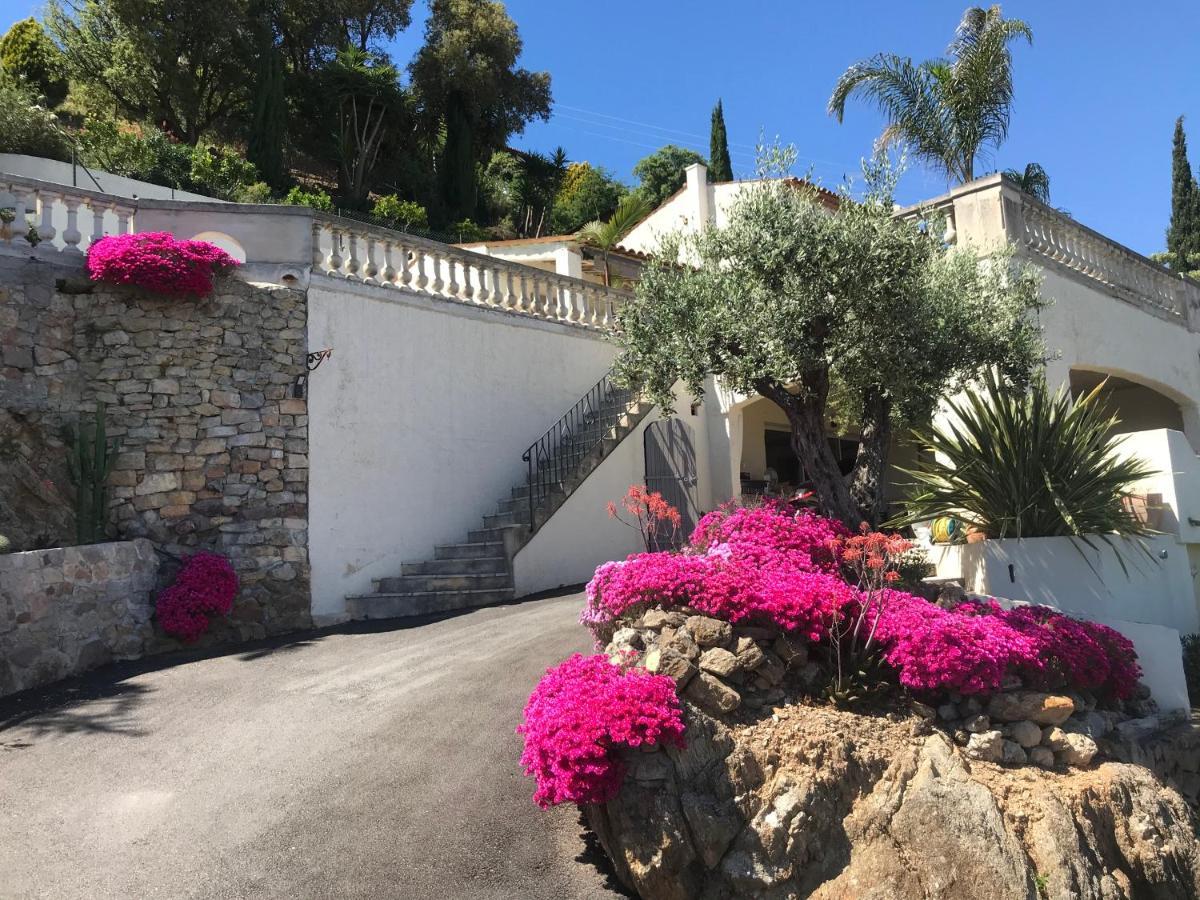3 Bedrooms Villa Near Cannes - Pool & Jacuzzi - Sea View Mandelieu 外观 照片