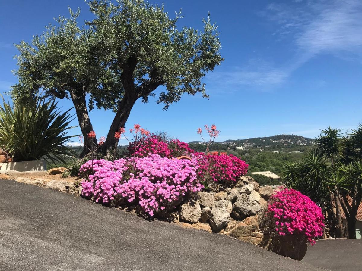 3 Bedrooms Villa Near Cannes - Pool & Jacuzzi - Sea View Mandelieu 外观 照片